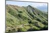 Hiking in Diamond Head State Monument (Leahi Crater)-Michael DeFreitas-Mounted Photographic Print