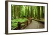 Hiking in Rain Forest in Macmillan Provincial Park in Vancouver Island, British Columbia, Canada-2009fotofriends-Framed Photographic Print