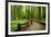 Hiking in Rain Forest in Macmillan Provincial Park in Vancouver Island, British Columbia, Canada-2009fotofriends-Framed Photographic Print