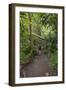 Hiking Manoa Falls Trail, Honolulu, Oahu, Hawaii, United States of America, Pacific-Michael DeFreitas-Framed Photographic Print