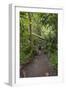 Hiking Manoa Falls Trail, Honolulu, Oahu, Hawaii, United States of America, Pacific-Michael DeFreitas-Framed Photographic Print