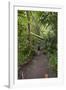 Hiking Manoa Falls Trail, Honolulu, Oahu, Hawaii, United States of America, Pacific-Michael DeFreitas-Framed Photographic Print