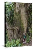 Hiking Manoa Falls Trail, Honolulu, Oahu, Hawaii, United States of America, Pacific-Michael DeFreitas-Stretched Canvas