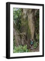 Hiking Manoa Falls Trail, Honolulu, Oahu, Hawaii, United States of America, Pacific-Michael DeFreitas-Framed Photographic Print