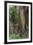 Hiking Manoa Falls Trail, Honolulu, Oahu, Hawaii, United States of America, Pacific-Michael DeFreitas-Framed Photographic Print