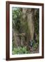 Hiking Manoa Falls Trail, Honolulu, Oahu, Hawaii, United States of America, Pacific-Michael DeFreitas-Framed Photographic Print