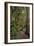 Hiking Manoa Falls Trail, Honolulu, Oahu, Hawaii, United States of America, Pacific-Michael DeFreitas-Framed Photographic Print