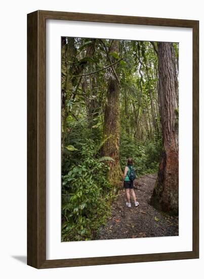 Hiking Manoa Falls Trail, Honolulu, Oahu, Hawaii, United States of America, Pacific-Michael DeFreitas-Framed Photographic Print