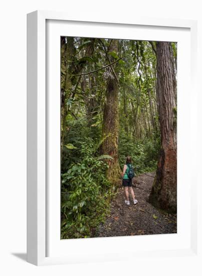 Hiking Manoa Falls Trail, Honolulu, Oahu, Hawaii, United States of America, Pacific-Michael DeFreitas-Framed Photographic Print