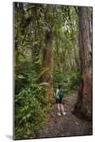 Hiking Manoa Falls Trail, Honolulu, Oahu, Hawaii, United States of America, Pacific-Michael DeFreitas-Mounted Photographic Print