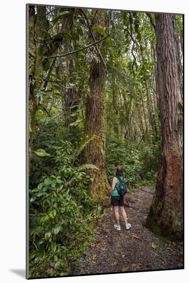 Hiking Manoa Falls Trail, Honolulu, Oahu, Hawaii, United States of America, Pacific-Michael DeFreitas-Mounted Photographic Print