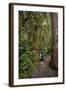 Hiking Manoa Falls Trail, Honolulu, Oahu, Hawaii, United States of America, Pacific-Michael DeFreitas-Framed Photographic Print