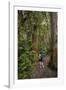 Hiking Manoa Falls Trail, Honolulu, Oahu, Hawaii, United States of America, Pacific-Michael DeFreitas-Framed Photographic Print