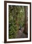 Hiking Manoa Falls Trail, Honolulu, Oahu, Hawaii, United States of America, Pacific-Michael DeFreitas-Framed Photographic Print