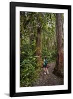 Hiking Manoa Falls Trail, Honolulu, Oahu, Hawaii, United States of America, Pacific-Michael DeFreitas-Framed Photographic Print