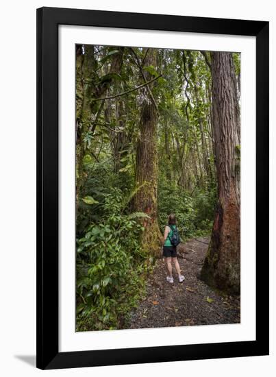 Hiking Manoa Falls Trail, Honolulu, Oahu, Hawaii, United States of America, Pacific-Michael DeFreitas-Framed Photographic Print