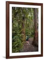 Hiking Manoa Falls Trail, Honolulu, Oahu, Hawaii, United States of America, Pacific-Michael DeFreitas-Framed Photographic Print