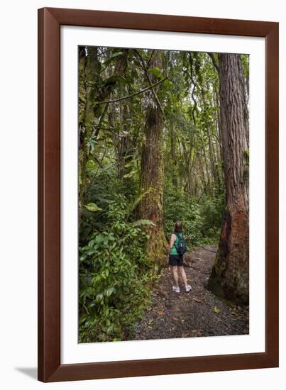 Hiking Manoa Falls Trail, Honolulu, Oahu, Hawaii, United States of America, Pacific-Michael DeFreitas-Framed Photographic Print