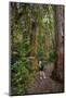 Hiking Manoa Falls Trail, Honolulu, Oahu, Hawaii, United States of America, Pacific-Michael DeFreitas-Mounted Photographic Print