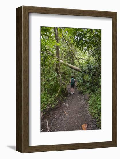 Hiking Manoa Falls Trail, Honolulu, Oahu, Hawaii, United States of America, Pacific-Michael DeFreitas-Framed Photographic Print