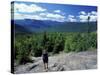 Hiking on Mt. Crawford, New Hampshire, USA-Jerry & Marcy Monkman-Stretched Canvas