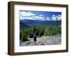 Hiking on Mt. Crawford, New Hampshire, USA-Jerry & Marcy Monkman-Framed Photographic Print