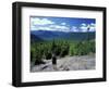 Hiking on Mt. Crawford, New Hampshire, USA-Jerry & Marcy Monkman-Framed Photographic Print