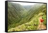 Hiking People on Hawaii, Waihee Ridge Trail, Maui, USA-Maridav-Framed Stretched Canvas