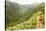 Hiking People on Hawaii, Waihee Ridge Trail, Maui, USA-Maridav-Stretched Canvas