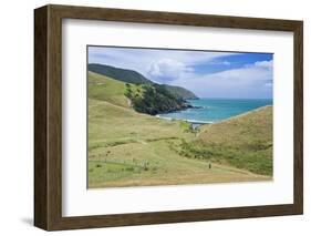 Hiking the Coromandel Coastal Walkway-Rob Tilley-Framed Photographic Print