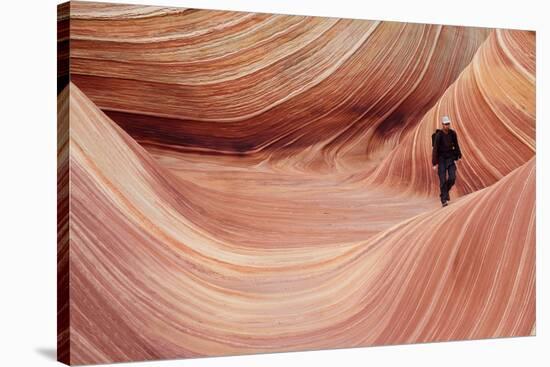 Hiking the Wave-mike866-Stretched Canvas