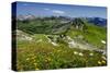 Hiking Trail at Hoefatsblick Station on Nebelhorn Mountain (2224m), Oberstdorf, Germany-null-Stretched Canvas