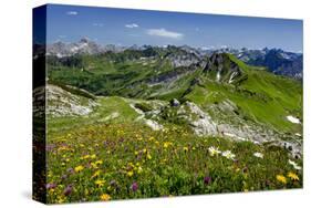 Hiking Trail at Hoefatsblick Station on Nebelhorn Mountain (2224m), Oberstdorf, Germany-null-Stretched Canvas