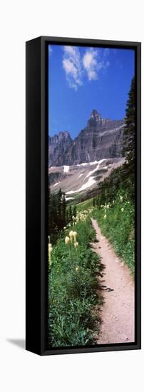 Hiking Trail at Us Glacier National Park, Montana, USA-null-Framed Stretched Canvas