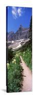 Hiking Trail at Us Glacier National Park, Montana, USA-null-Stretched Canvas