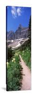 Hiking Trail at Us Glacier National Park, Montana, USA-null-Stretched Canvas