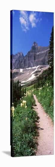 Hiking Trail at Us Glacier National Park, Montana, USA-null-Stretched Canvas