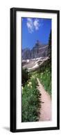 Hiking Trail at Us Glacier National Park, Montana, USA-null-Framed Premium Photographic Print