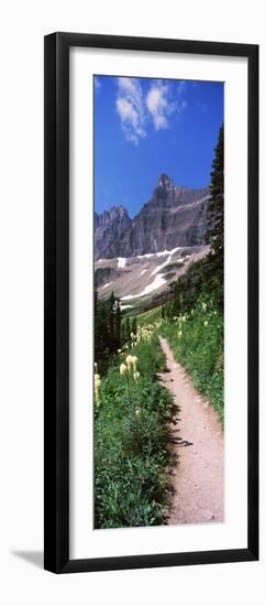 Hiking Trail at Us Glacier National Park, Montana, USA-null-Framed Premium Photographic Print