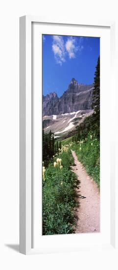 Hiking Trail at Us Glacier National Park, Montana, USA-null-Framed Photographic Print