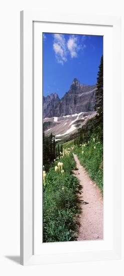 Hiking Trail at Us Glacier National Park, Montana, USA-null-Framed Photographic Print