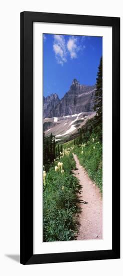 Hiking Trail at Us Glacier National Park, Montana, USA-null-Framed Photographic Print