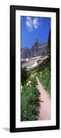 Hiking Trail at Us Glacier National Park, Montana, USA-null-Framed Photographic Print