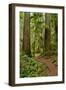 Hiking Trail I-Brian Moore-Framed Premium Photographic Print