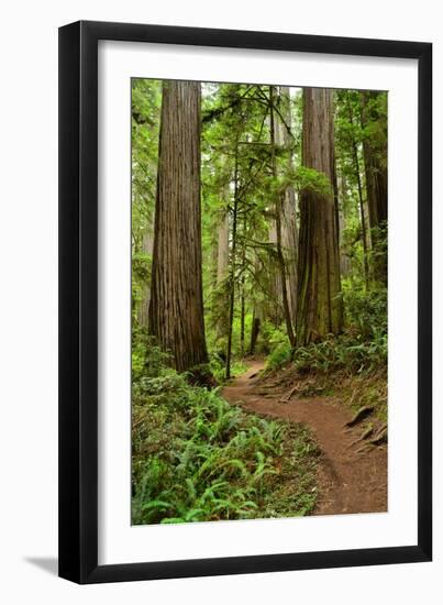 Hiking Trail I-Brian Moore-Framed Premium Photographic Print