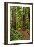 Hiking Trail I-Brian Moore-Framed Photographic Print