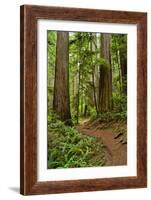 Hiking Trail I-Brian Moore-Framed Photographic Print