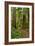 Hiking Trail I-Brian Moore-Framed Photographic Print