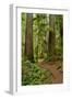 Hiking Trail I-Brian Moore-Framed Photographic Print