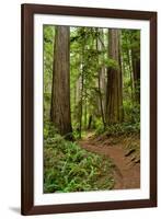 Hiking Trail I-Brian Moore-Framed Photographic Print